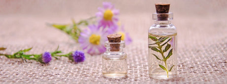 What fragrance notes mean in perfumes?