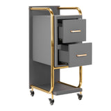 GABBIANO HAIRDRESSER TROLLEY SOLO GOLD GRAY
