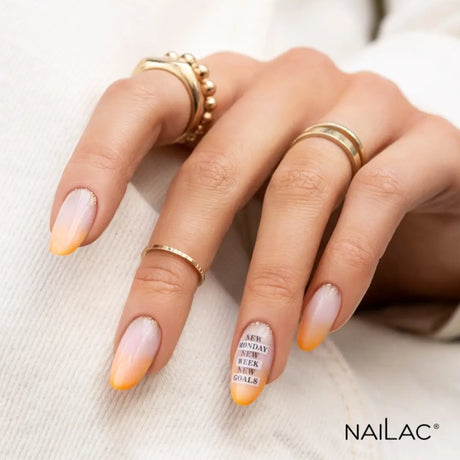 NaiLac UV/LED Gel Nail Polish 480 Nail Styling