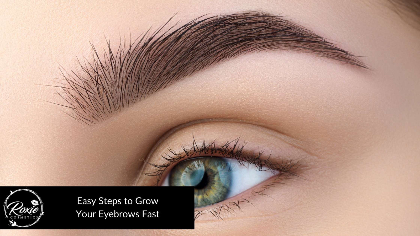 How to Grow Eyebrows