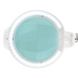 LED magnifying lamp moonlight 8013/6 "white for the table top