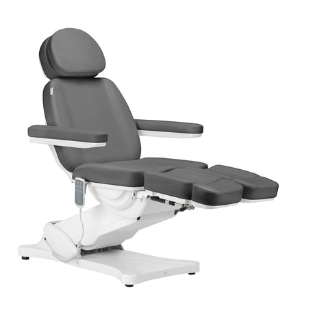 Sillon Classic Electric Salon Chair 3 Motors With Pedi Cradle Grey