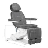 Sillon Classic Electric Salon Chair 3 Motors With Pedi Cradle Grey