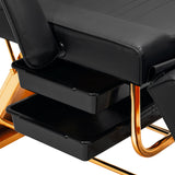 Sillon Beauty Salon Chair 202 Gold Pro Black
