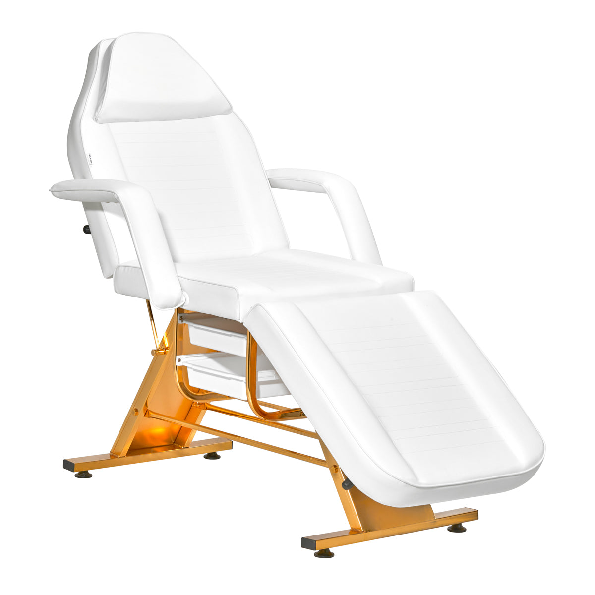 Sillon Beauty Salon Chair 202 Gold Pro White