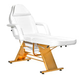 Sillon Beauty Salon Chair 202 Gold Pro White