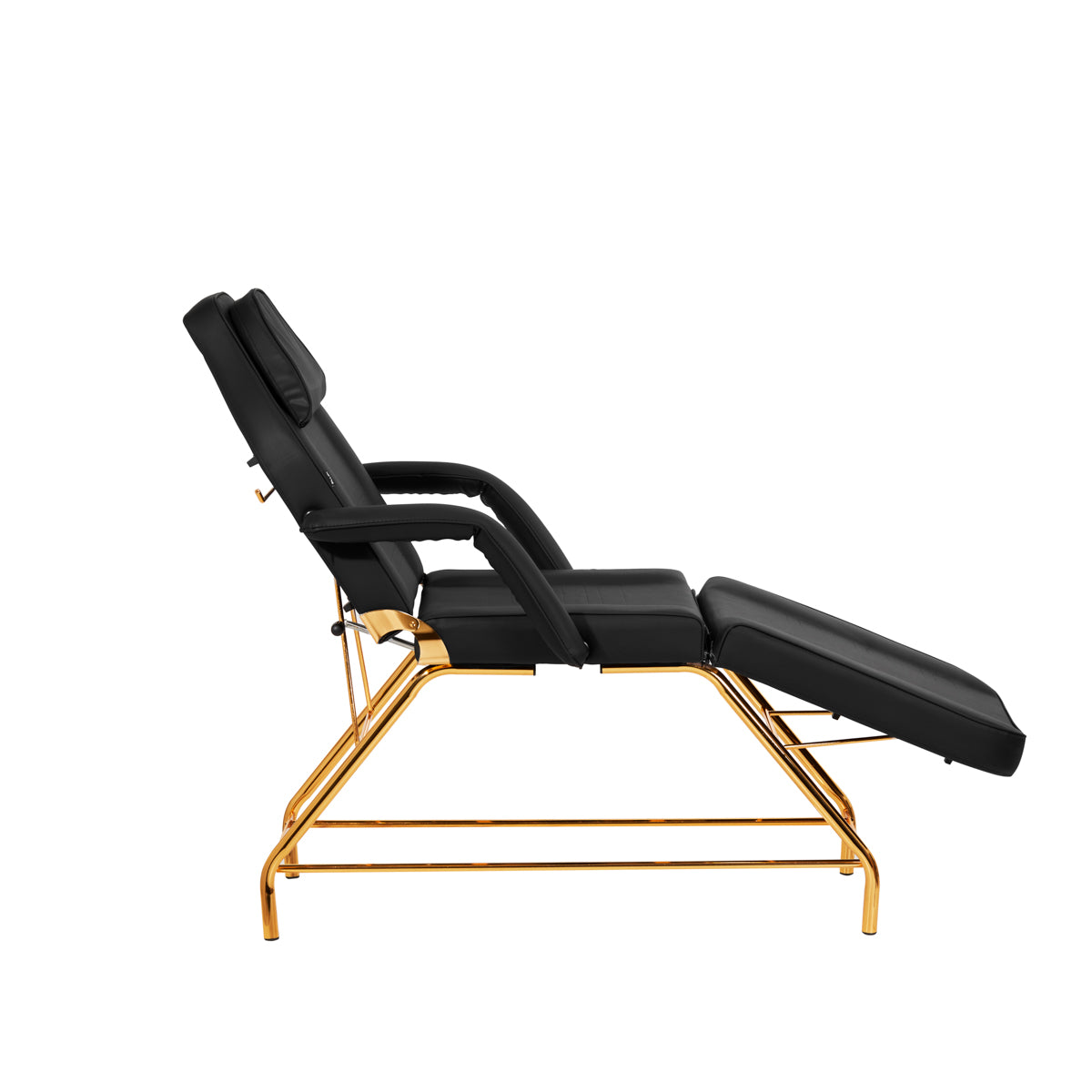 Sillon Beauty Salon Chair 211 Gold Pro Black