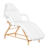 Sillon Beauty Salon Chair 211 Gold Pro White