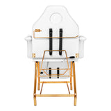 Sillon Beauty Salon Chair 211 Gold Pro White