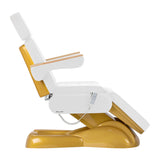 Sillon Electric Cosmetic Chair LUX 273B 3 Motors Gold & White