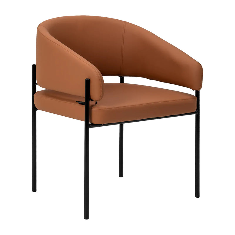 4Rico Novo Modern Salon Chair Brown