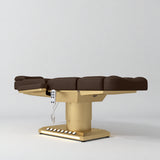 Manufakturo Aurélie beauty bed in Cocoa Mocha with gold-finished base, flat low-angle view.