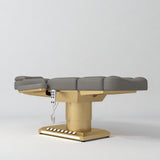 Manufakturo Aurélie beauty bed in Deep Ash with gold-finished base, flat low-angle view.