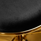 a close up of a chair with a black cushion