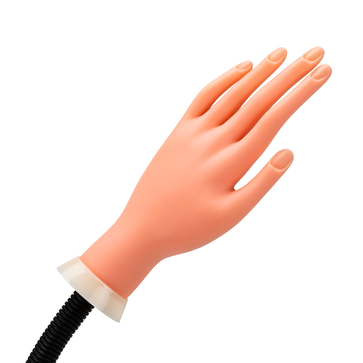 ActiveShop 35 Manicure Practice Hand - isolated on a white background