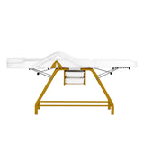 ActiveShop 557G Beauty Bed With Two Storage Trays White - close-up showing the headrest, upholstery and adjustment controls