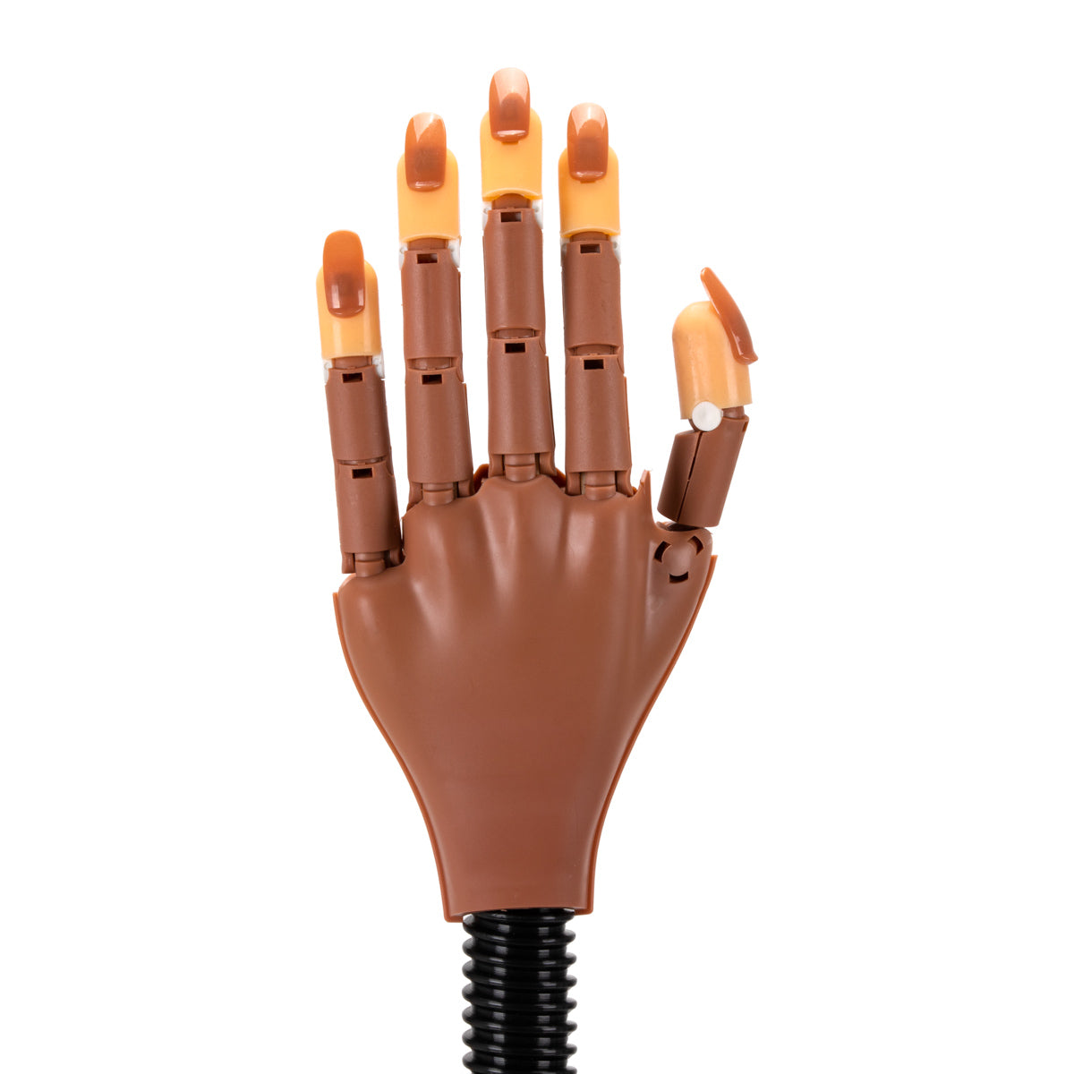 ActiveShop 95 Manicure Practice Hand - isolated on a white background