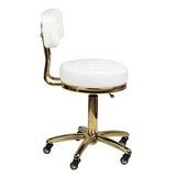 ActiveShop AM-961 Beauty Chair White & Gold - close-up of the upholstery and adjustment details