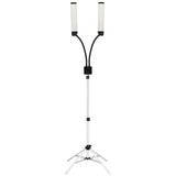 ActiveShop Eyelashes & Makeup LED Lamp Polluks II Black & Silver MSP-lD01 - LED treatment lamp with adjustable light arms on a white background