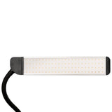 ActiveShop Eyelashes & Makeup LED Lamp Polluks II Black & Silver MSP-lD01 - LED treatment lamp with adjustable light arms on a white background