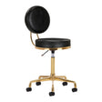 ActiveShop H5 Beauty Chair Black & Gold - full product view at an angle on a white background