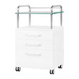 ActiveShop Podiatry Beauty Trolley 6053 White - front view showing the storage and construction details