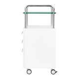 ActiveShop Podiatry Beauty Trolley 6053 White - front view showing the storage and construction details