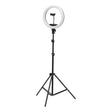 ActiveShop 13-inch LED ring light with black tripod, three-quarter view