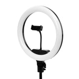 Illuminated ActiveShop 13-inch LED ring light with phone holder, angled view