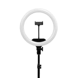ActiveShop 13-inch LED ring light switched on with phone holder, front view
