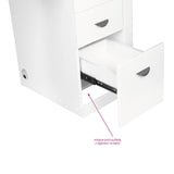ActiveShop White Beauty Desk 310 with Built-In Absorber Left - front view showing the storage and construction details