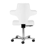 Rear view of the Azzurro Special 152 snow-white salon chair