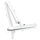 Elegante 801-TL Led Work Lamp White with Vice Light Intensity & Colour - LED task lamp showing its adjustable construction and controls