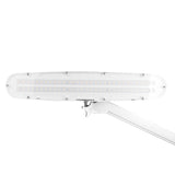 Elegante Workshop Led Lamp 801-l with Vice Light Intensity Adjustment - LED task lamp showing its adjustable construction and controls