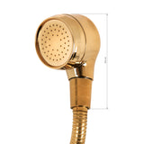 Gabbiano Large Backwash Unit Handset Gold - chrome basin handset on a white background