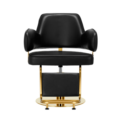 Gabbiano Linz NQ Hair Salon Styling Chair Gold & Black - side view on a white background