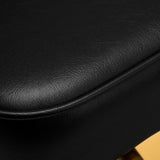 Gabbiano Linz NQ Hair Salon Styling Chair Gold & Black - close-up of the upholstery and construction details