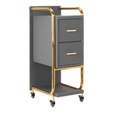 Gabbiano Solo Hairdressing Trolley Gold & Grey - front view showing the storage and construction details