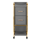 Gabbiano Solo Hairdressing Trolley Gold & Grey - front view showing the storage and construction details