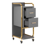 Gabbiano Solo Hairdressing Trolley Gold & Grey - front view showing the storage and construction details