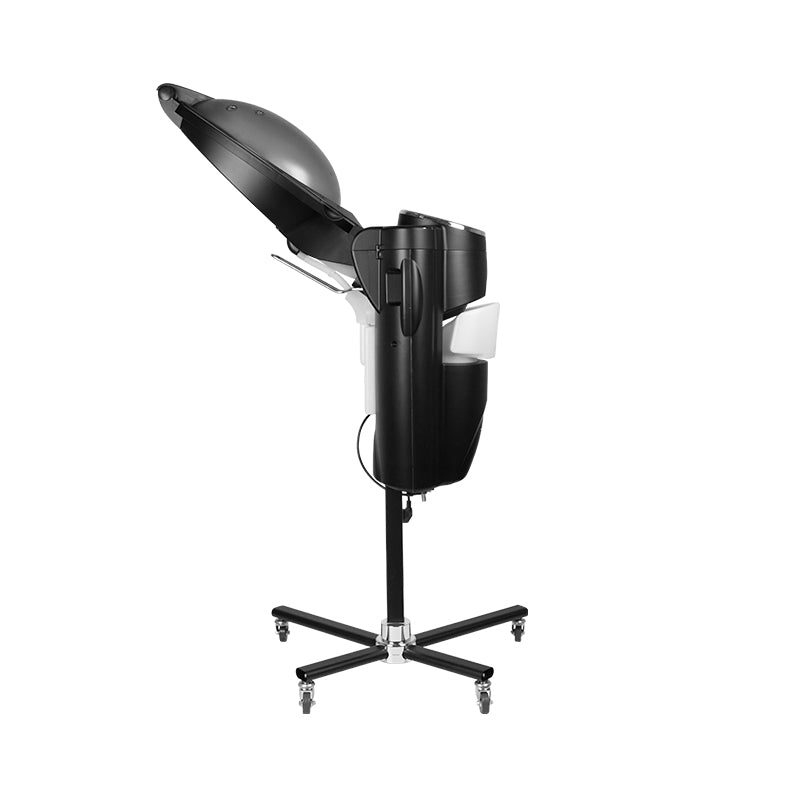 Gabbiano Standing Hair Steamer With Active Ozone Black - standing hair steamer isolated on a white background