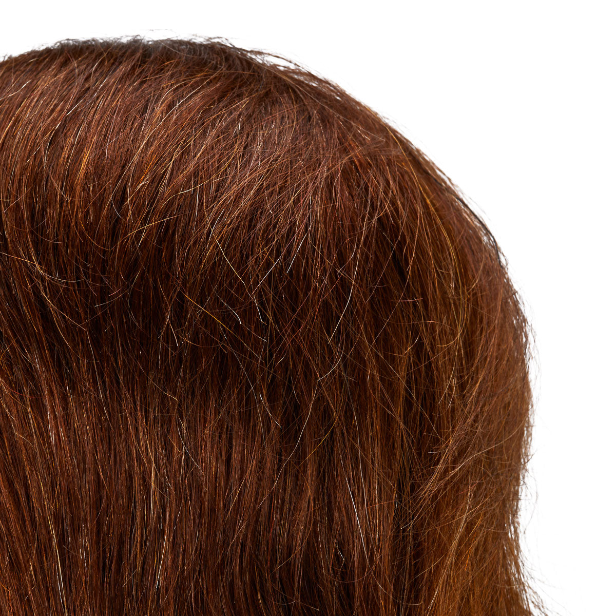 Gabbiano WZ3 Hairdressing Training Head, Natural Hair, Colour 4#, Length 8" - close-up of the training head hair colour and texture
