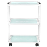 Giovanni 1041 Beauty Trolley - front view showing the storage and construction details