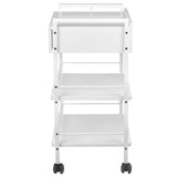 Giovanni Cosmetic Table Trolley Type 1019A - front view showing the storage and construction details