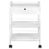 Giovanni Cosmetic Table Trolley Type 1019A - front view showing the storage and construction details