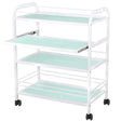Giovanni Cosmetic Table Type 1015 - front view showing the storage and construction details