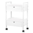 Giovanni Cosmetic Table Type 1019 - front view showing the storage and construction details