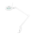 Glow Led Magnifier Lamp Adjustable Colour 8021 - complete device isolated on a white background