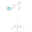 Glow Moonlight 8012/5 5D LED Magnifying Lamp White With Tripod - complete device isolated on a white background