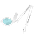 Glow Moonlight 8013 6″ LED Magnifying Desk Lamp White - main unit with included components on a white background